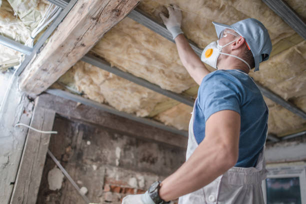 Best Insulation Inspection Services  in Lebanon, PA