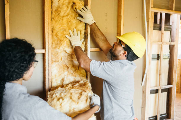 Best Insulation Removal  in Lebanon, PA