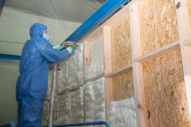 Best Cellulose Insulation  in Lebanon, PA